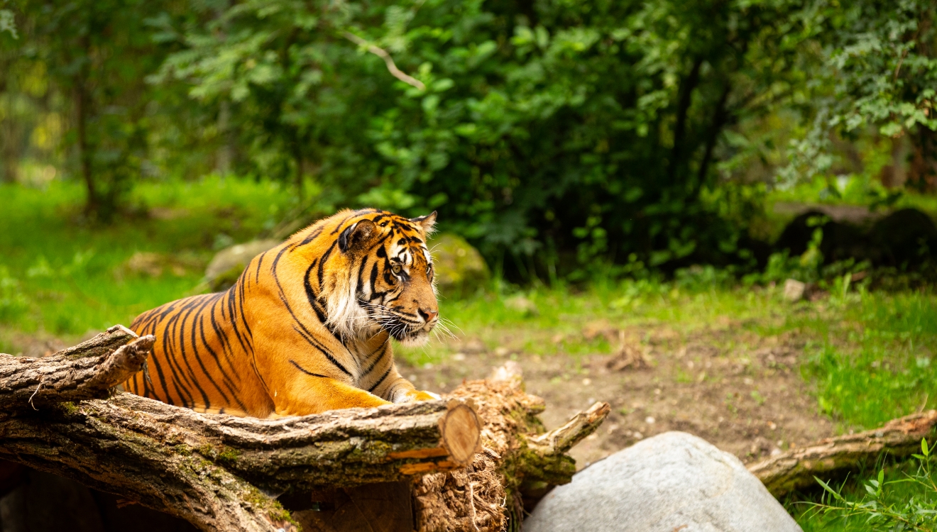 Top Hidden nature reserves and wildlife sanctuaries near Ontario, California