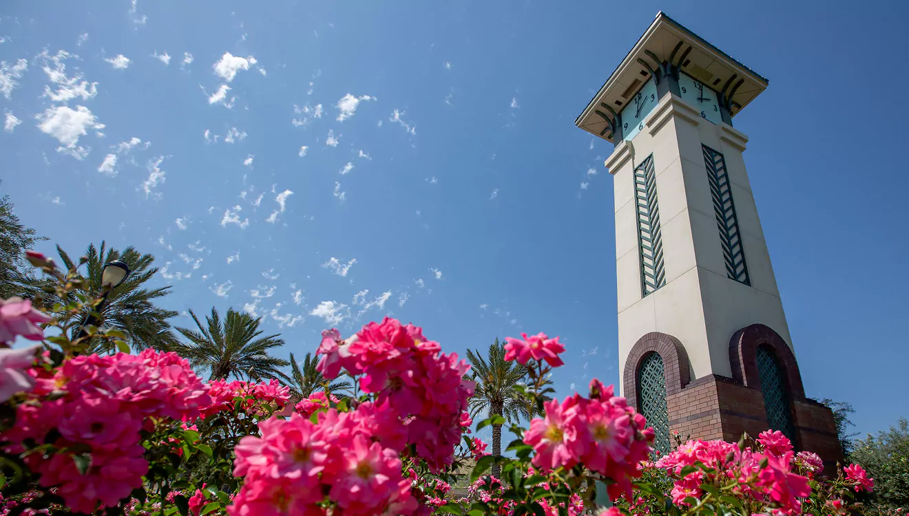 Local Life in Ontario California