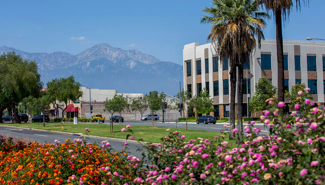 Valentine’s Day itinerary ON CA