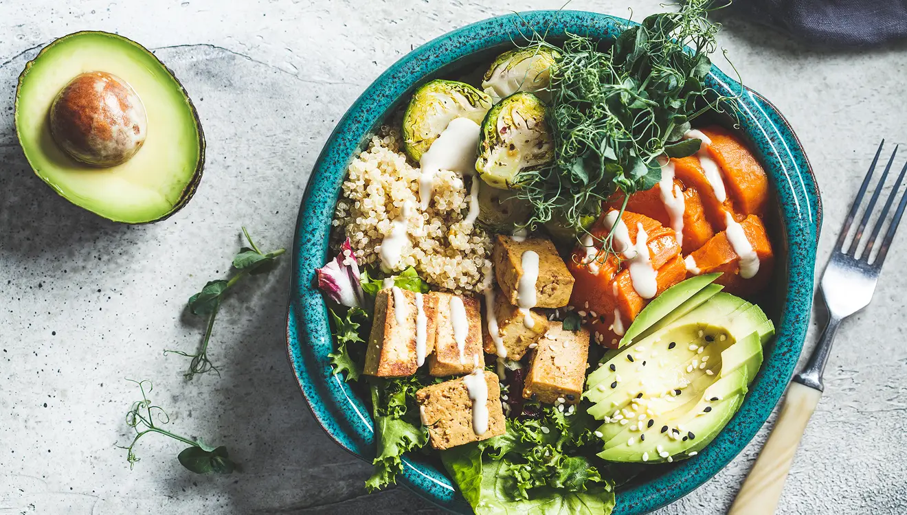 Vegan and Vegetarian Dining Spots ON CA