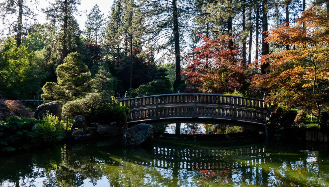 A Comfy Stay Near California Botanic Garden